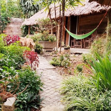 Family Homestay Ba Vi Extérieur photo