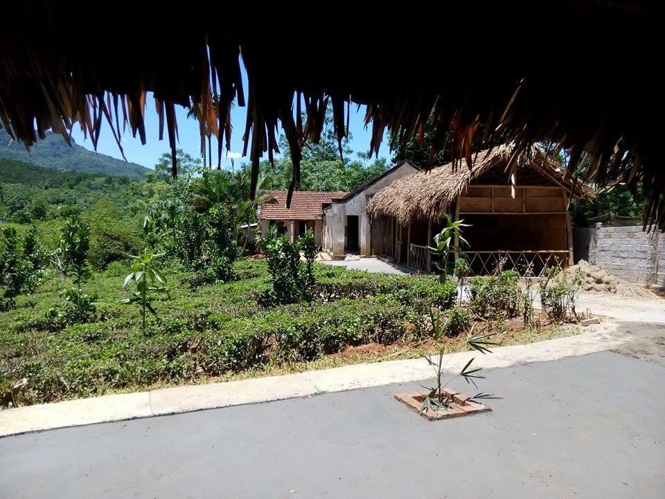 Family Homestay Ba Vi Extérieur photo