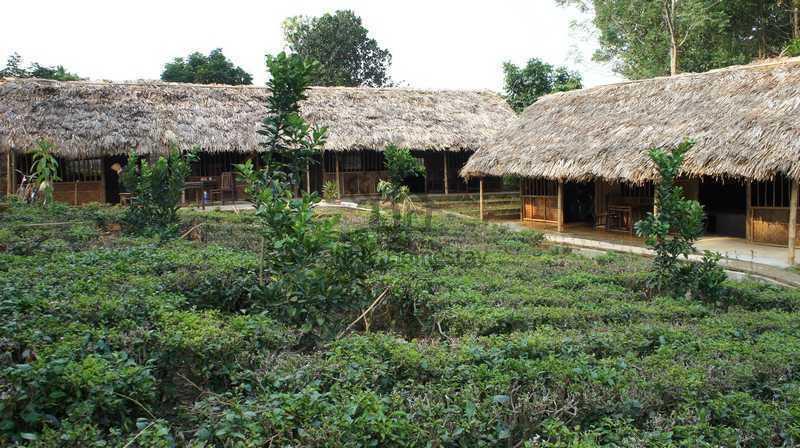 Family Homestay Ba Vi Chambre photo