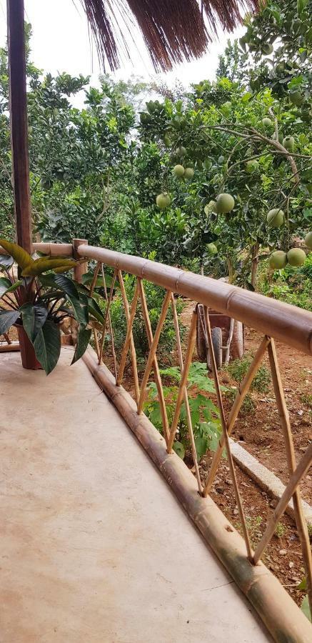 Family Homestay Ba Vi Extérieur photo