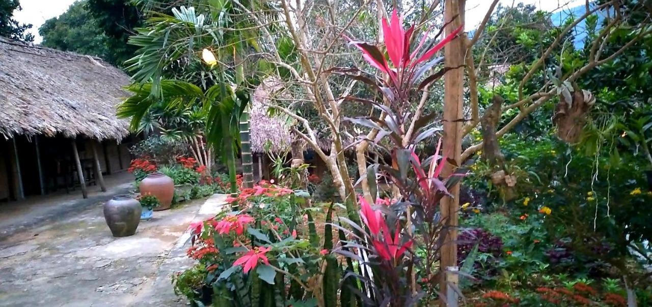 Family Homestay Ba Vi Extérieur photo